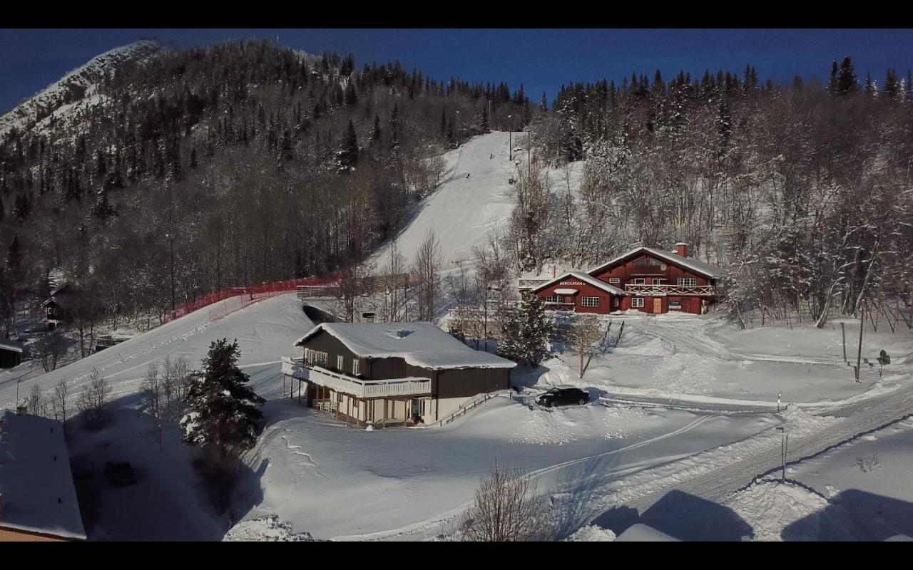 Berggatan Villa - Lagenhet 1 Funäsdalen Kültér fotó